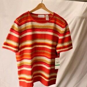 Alfred Dunner women's L stripped knit beaded top NWT fall colors business casual